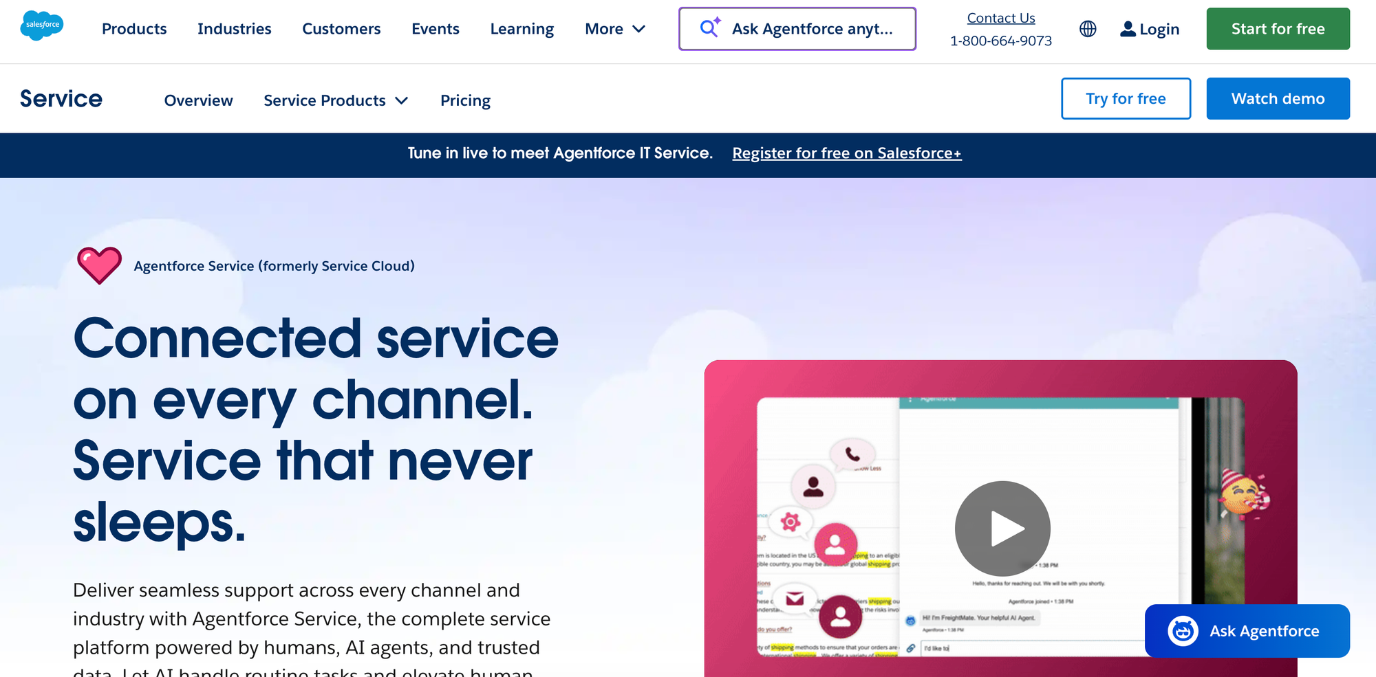 Salesforce Agent Service